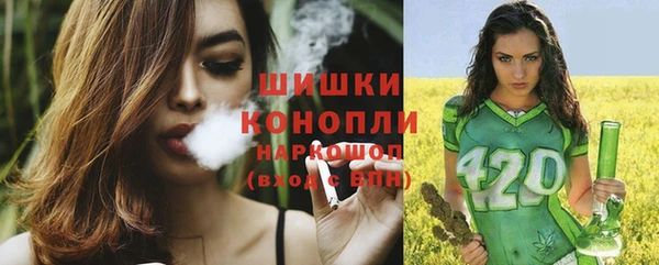 соль ск Белокуриха