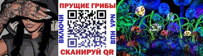где можно купить наркотик  Болотное  Псилоцибиновые грибы мицелий 